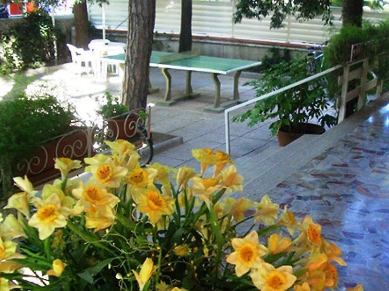 Hotel Spiaggia Marconi Rimini